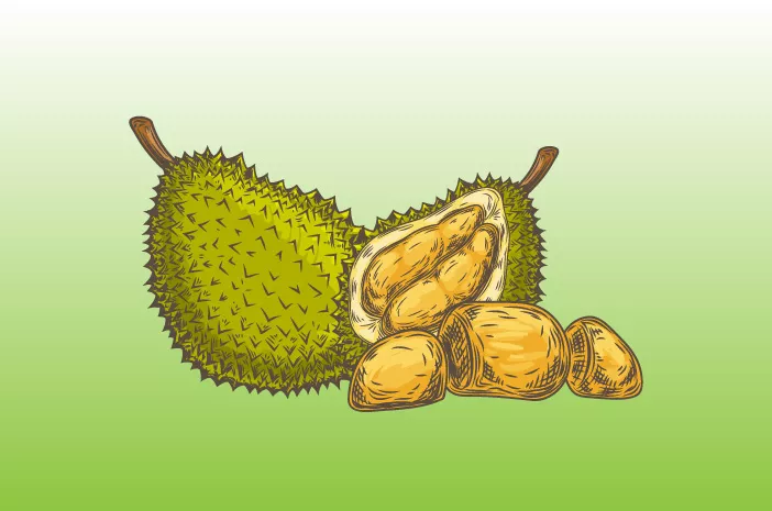 Bolehkah Ibu Hamil Mengonsumsi Durian?
