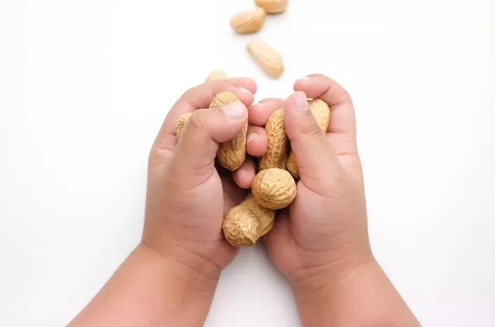 Bukan Cuma Telur, Kacang Juga Sebabkan Alergi pada Anak