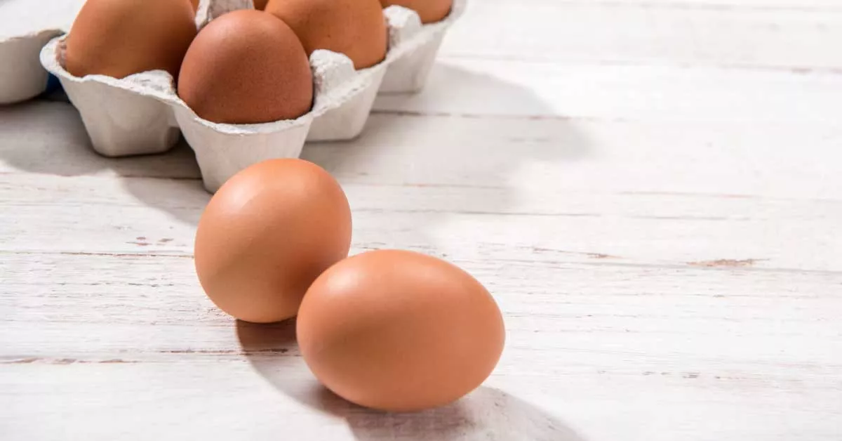 Telur Segar dan Tidak, Ketahui Cara Membedakannya