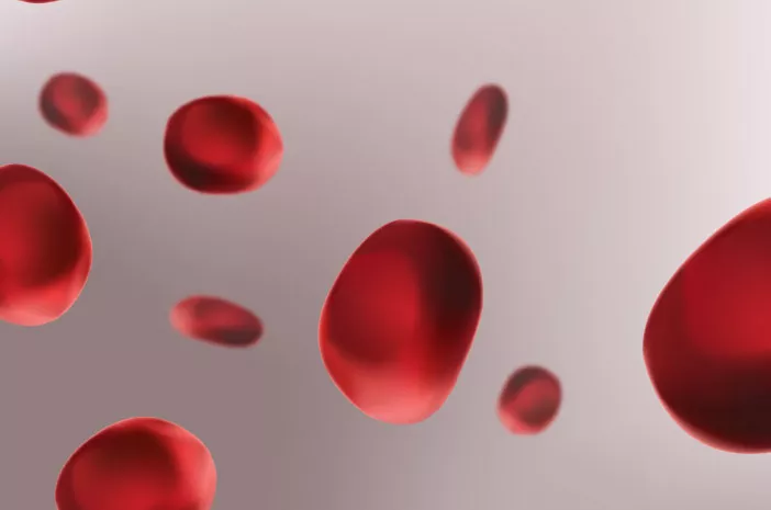 Anemia Pernisiosa, Kurangnya Sel Darah Merah pada Tubuh