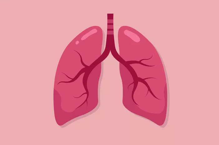 Penyebab dan Cara Mengobati Pneumonia