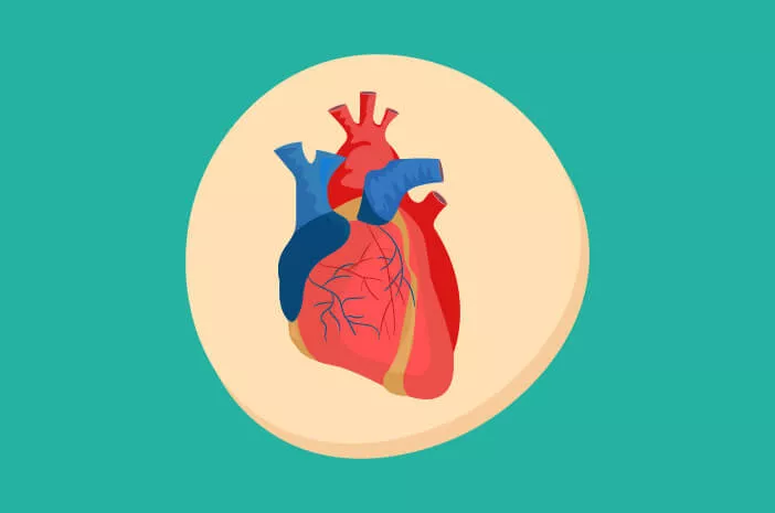 Kenapa Kateterisasi Jantung dan Otak Dilakukan?