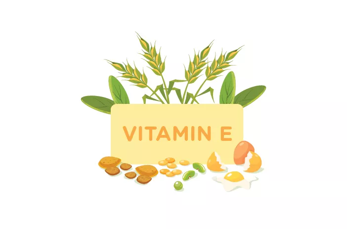 Inilah 9 Makanan yang Kaya Vitamin E