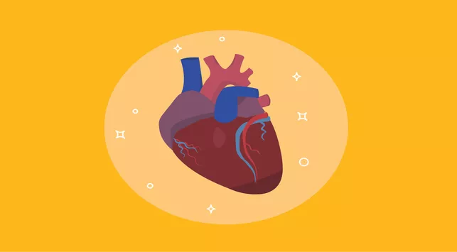 5 Jenis Penyakit yang Berhubungan dengan Jantung