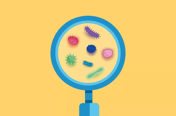 Kapan Waktu Terbaik untuk Melakukan Pemeriksaan Bakteriologi?