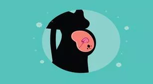 Sperma Masuk ke Dalam Kandungan, Bahayakah?