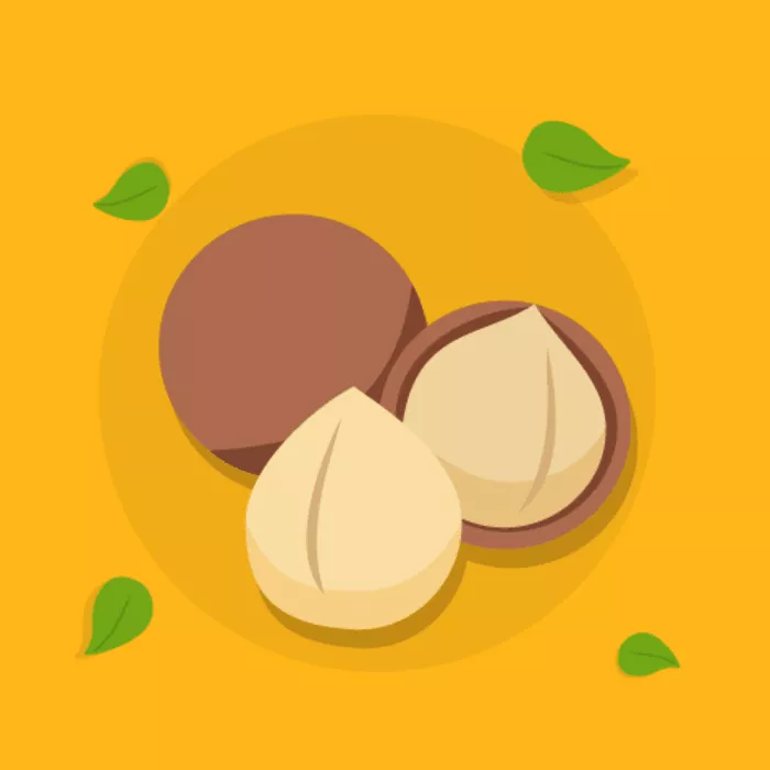 5 Manfaat Vitamin Kacang Macademia untuk Tubuh