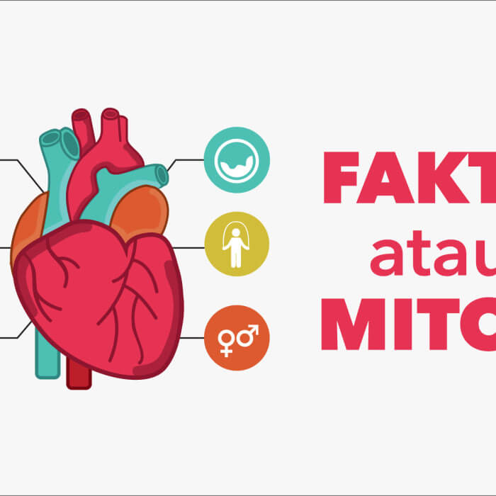 Fakta & Mitos yang Perlu Anda Ketahui Seputar Jantung
