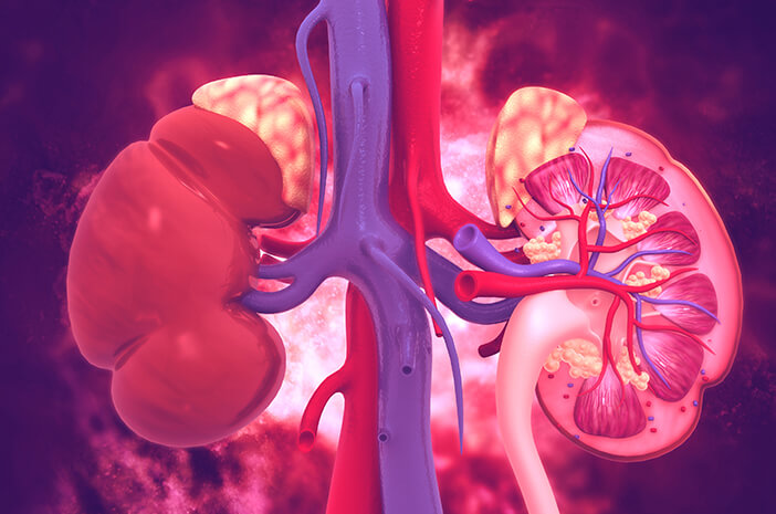 Benarkah Pheochromocytoma Disebabkan Faktor Genetik? Benarkah Pheochromocytoma Disebabkan Faktor Genetik?