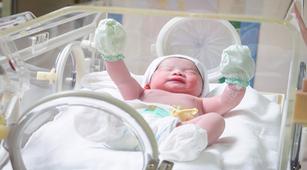 Proses Penentuan Jenis Kelamin Bayi Lewat Program Bayi Tabung