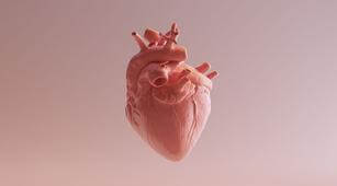Diagnosis Penyakit Katup Jantung dengan Echocardiografi