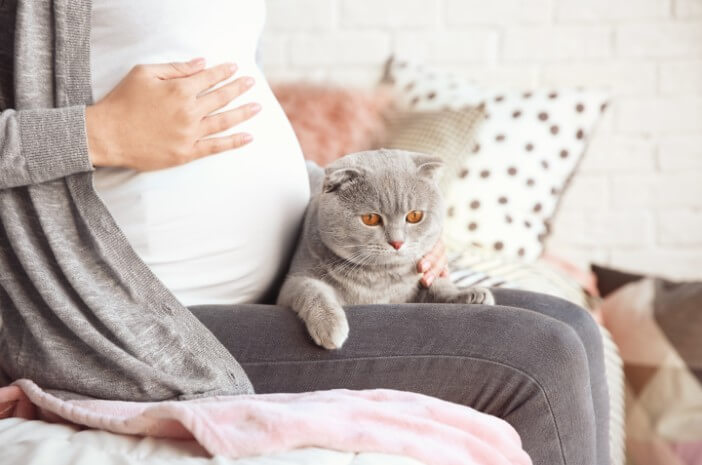 Ciri ciri kucing keguguran di dalam perut