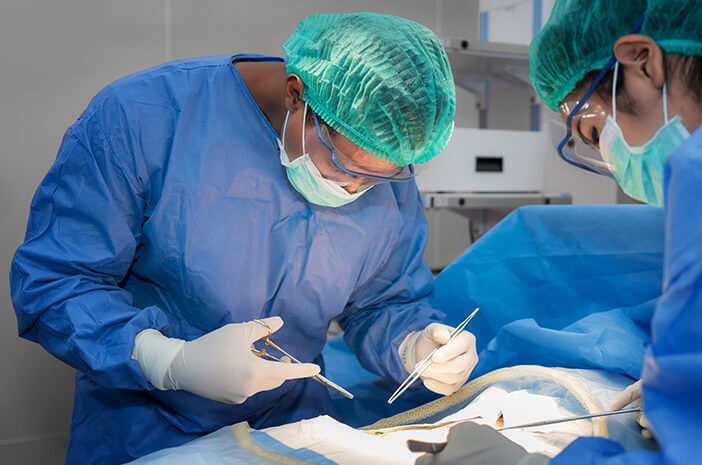 Inilah Proses Operasi untuk Mengatasi Hirschsprung Inilah Proses Operasi untuk Mengatasi Hirschsprung