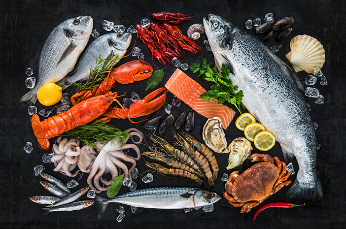 Intip Gaya Makan Pescatarian ala Ed Sheeran Intip Gaya Makan Pescatarian ala Ed Sheeran