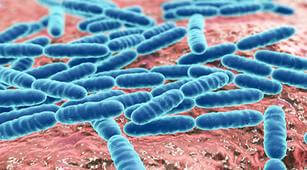 Kecil tetapi Berbahaya, Inilah 5 Penyakit yang Disebabkan Bakteri