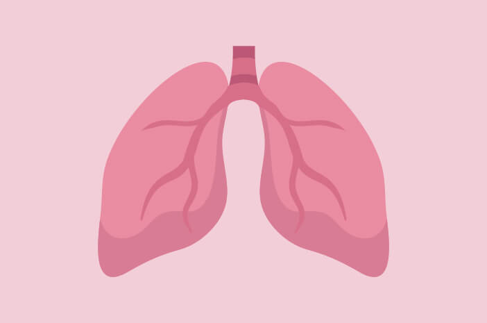Jaringan dalam paru-paru yang berfungsi sebagai tempat pertukaran gas oksigen dan gas karbon dioksida adalah