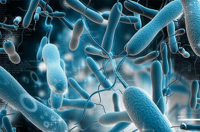 Ciri bakteri penyebab penyakit kolera