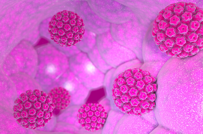 Hpv fertozes szajban Humán papilloma vírus dapat menyebabkan penyakit
